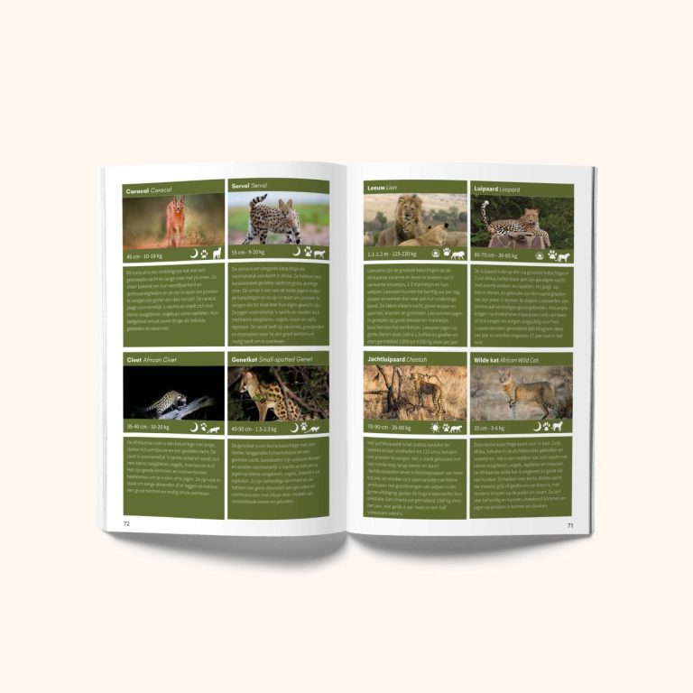 Safariboek-instaweb7-1-1320x1320