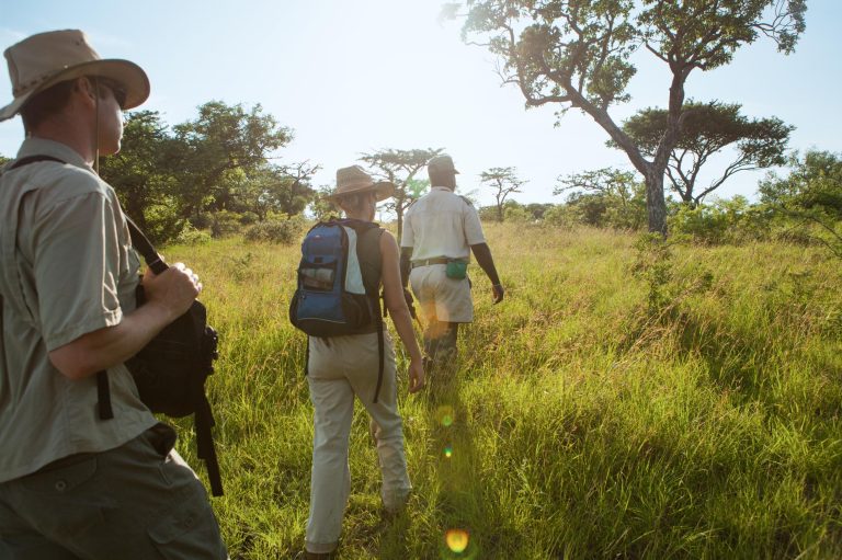 Zuid-Afrika_Algemeen_Activiteiten_wandelsafari_Verkeersbureau