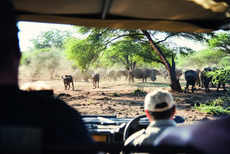 Zuid-Afrika_Mpumalanga_Krugerpark_uitzicht vanuit terreinwagen op kuddes_Verkeersbureau