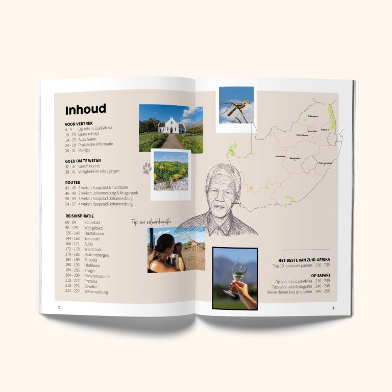 website-mockups3-1-scaled