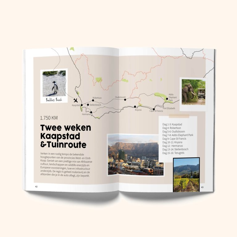 website-mockups8-1-scaled