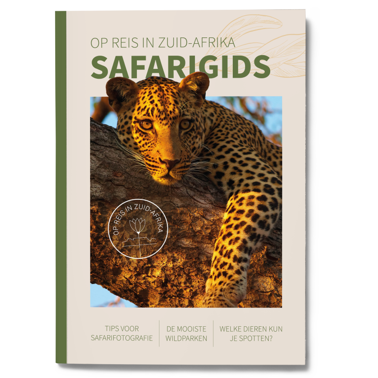 Safarigids_mock-up_cover