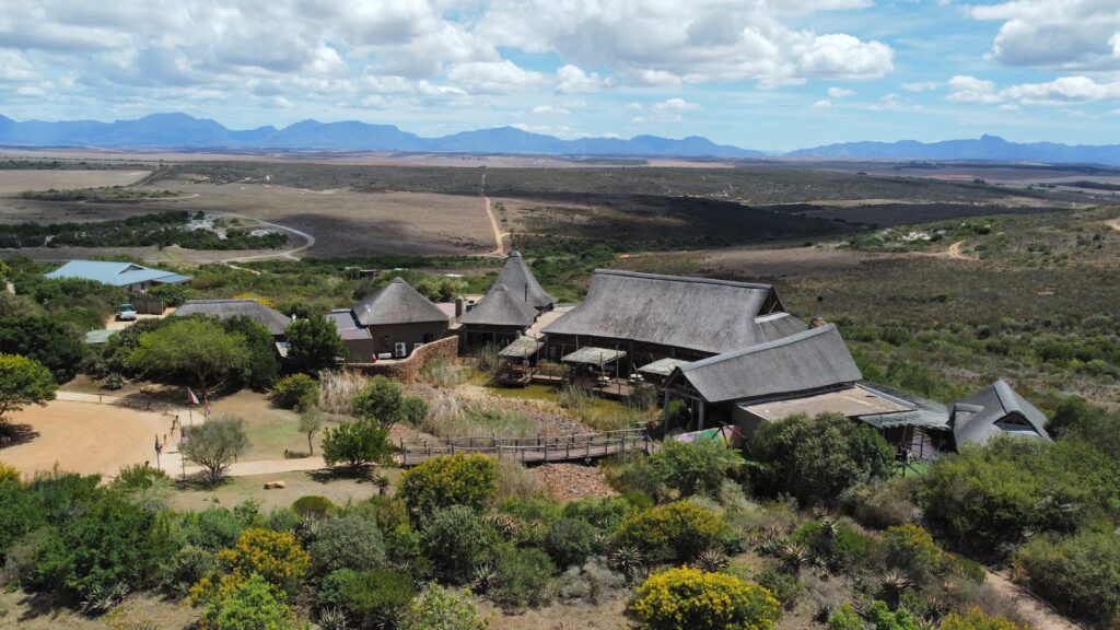 Safari bij Kaapstad in Garden Route Game Lodge in de West-Kaap, met uitzicht op uitgestrekte savannes waar giraffen, neushoorns en zebra’s vrij rondlopen. Deze malariavrije game lodge ligt op circa vier uur rijden van Kaapstad en is ideaal voor reizigers die een luxe safari willen combineren met de Tuinroute en Kaapstad.