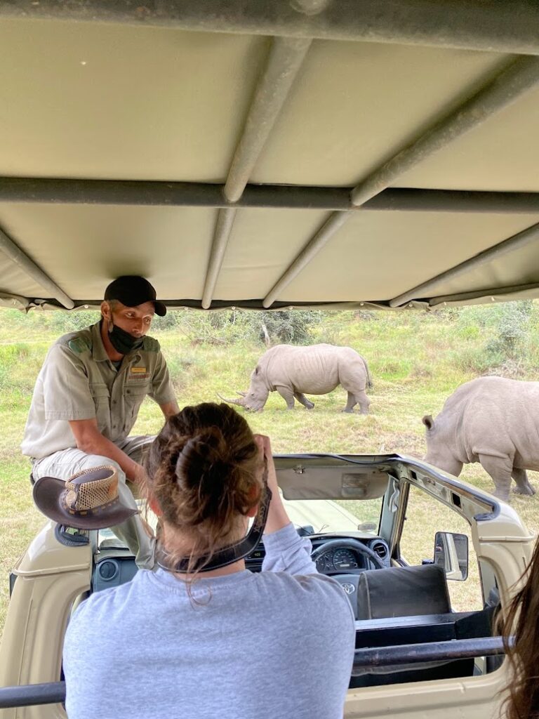 Een safari-gids staat in Botlierskop Game Reserve met neushoorns op de achtergrond tijdens een safari in Zuid-Afrika.