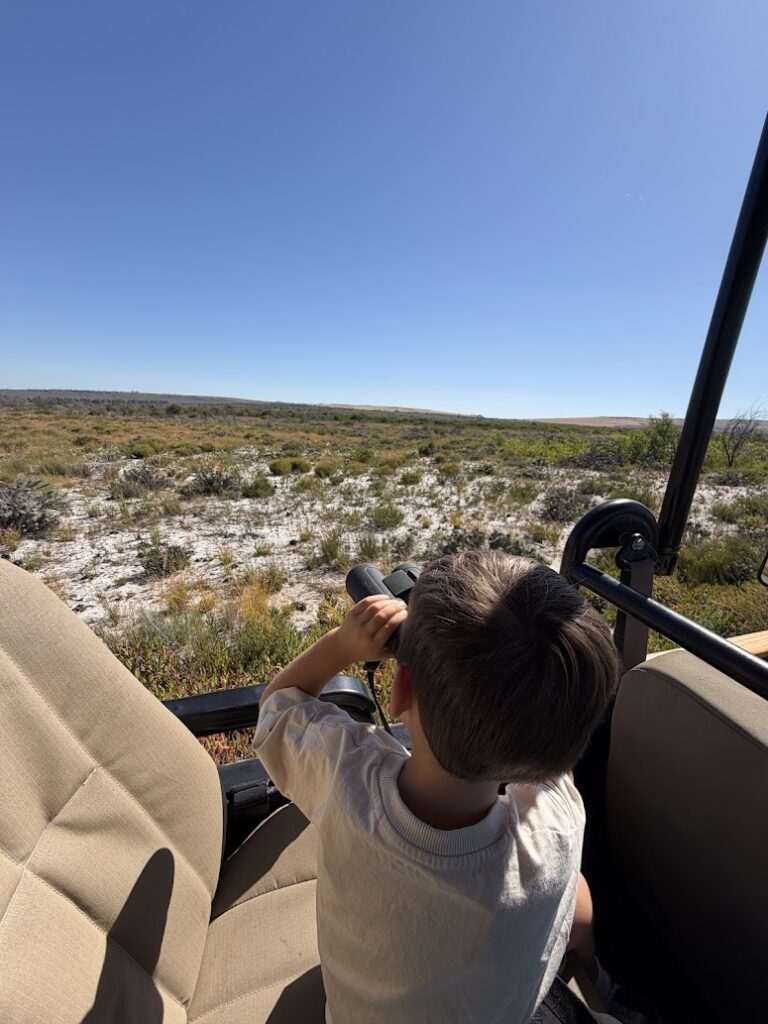 Kind met verrekijker tijdens een malariavrije safari nabij Kaapstad