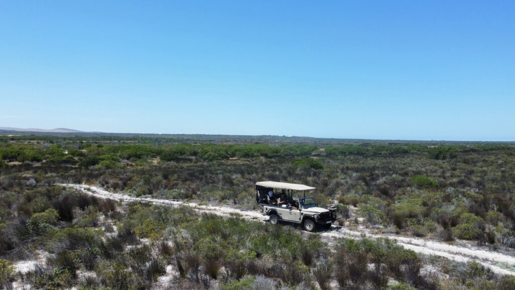Safarivoertuig tijdens een malariavrije safari in een privéwildreservaat nabij Kaapstad