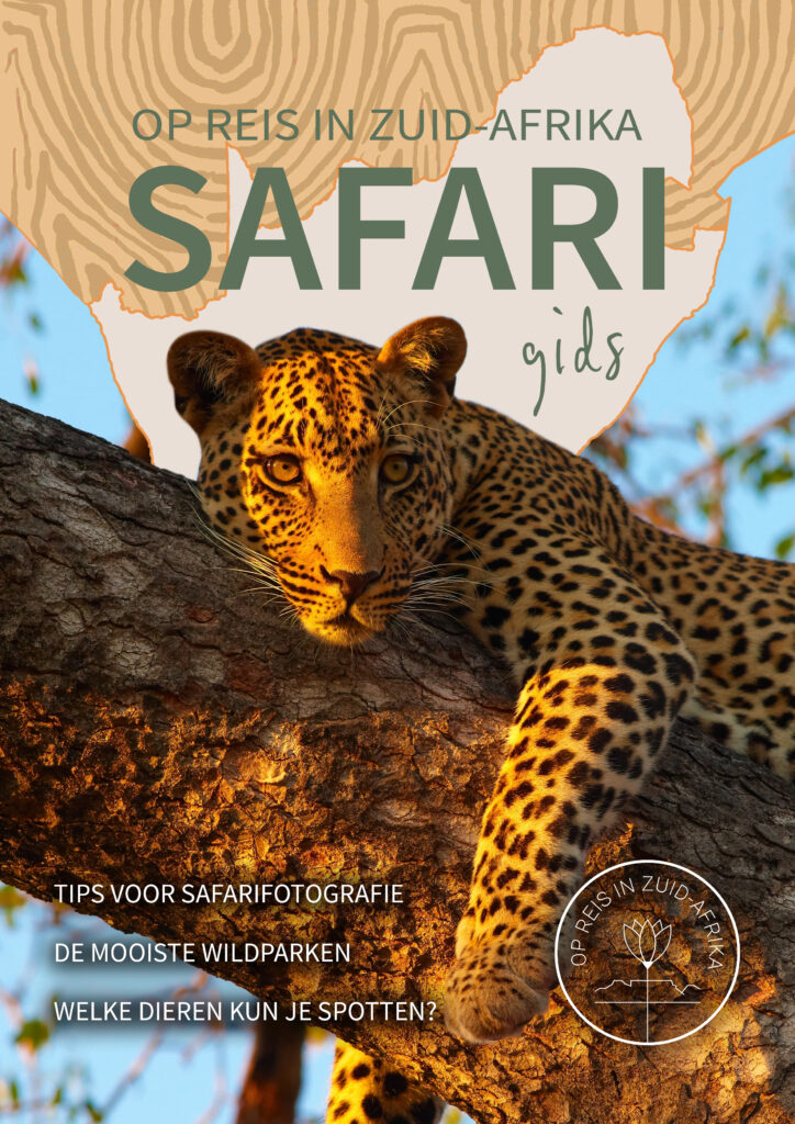 Safarigids Zuid-Afrika van Op Reis in Zuid-Afrika met tips voor safari en wildparken