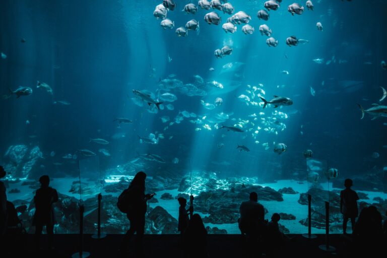 Bezoekers voor een groot aquariumraam met scholen vissen in het blauwe water.