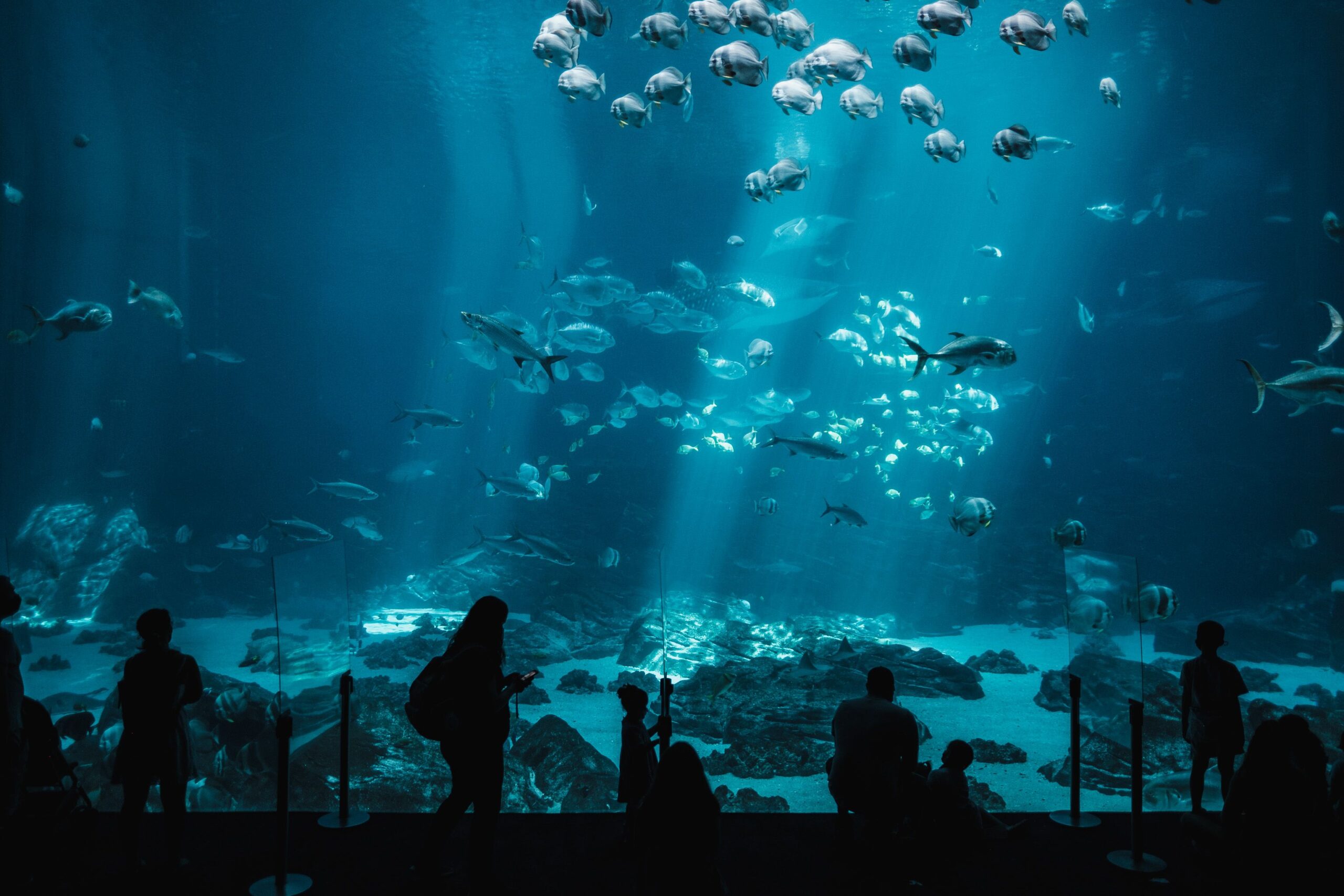 Bezoekers voor een groot aquariumraam met scholen vissen in het blauwe water.