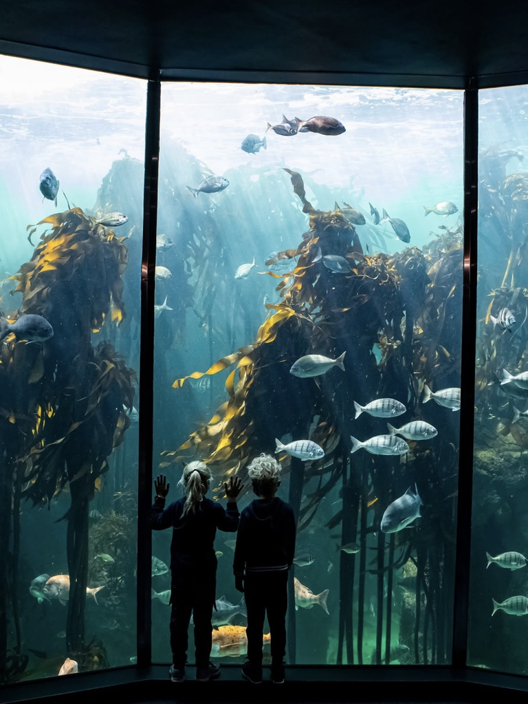 Twee kinderen bekijken vissen tussen het hoge kelp in het Two Oceans Aquarium in Kaapstad.
